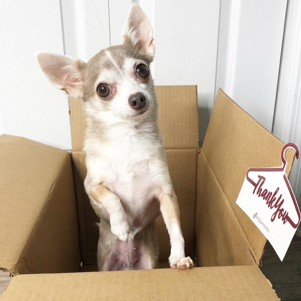 Thank you for shopping small